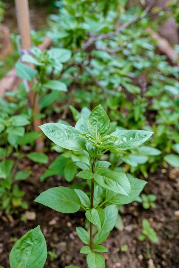 Réduire l'impact environnemental de l'entretien de votre vélo